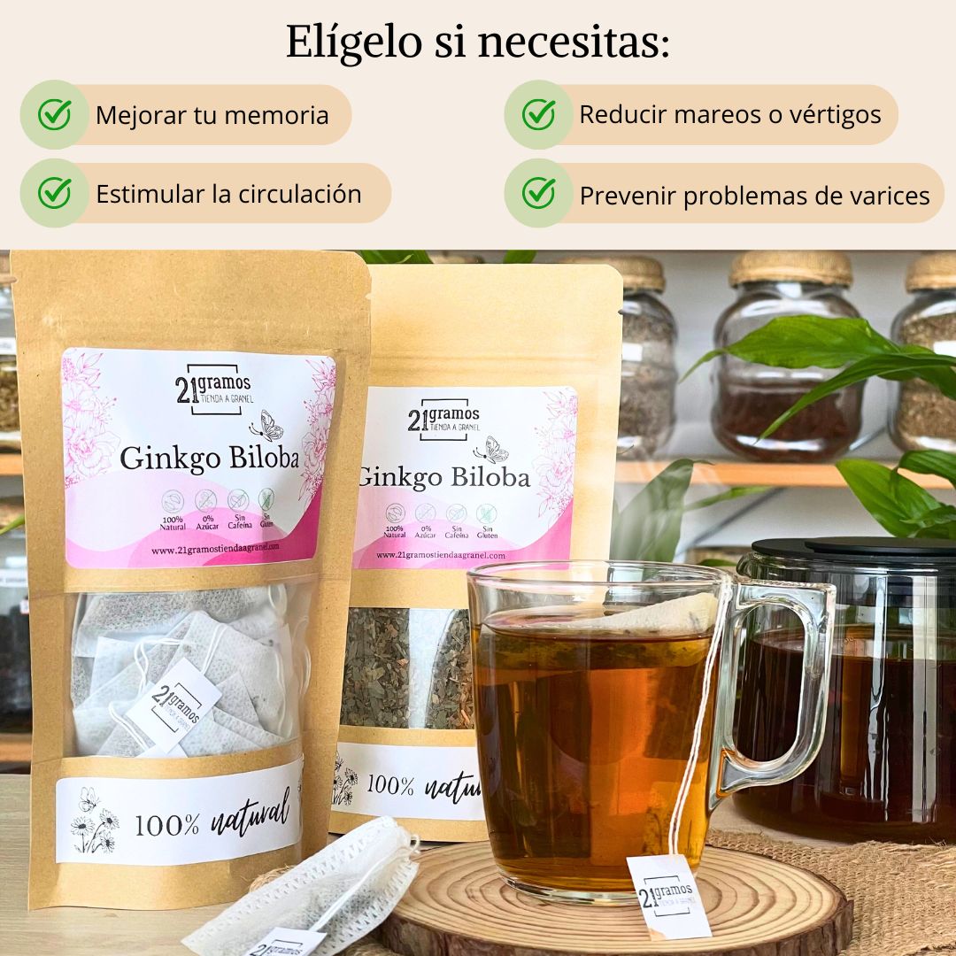 Ginkgo biloba