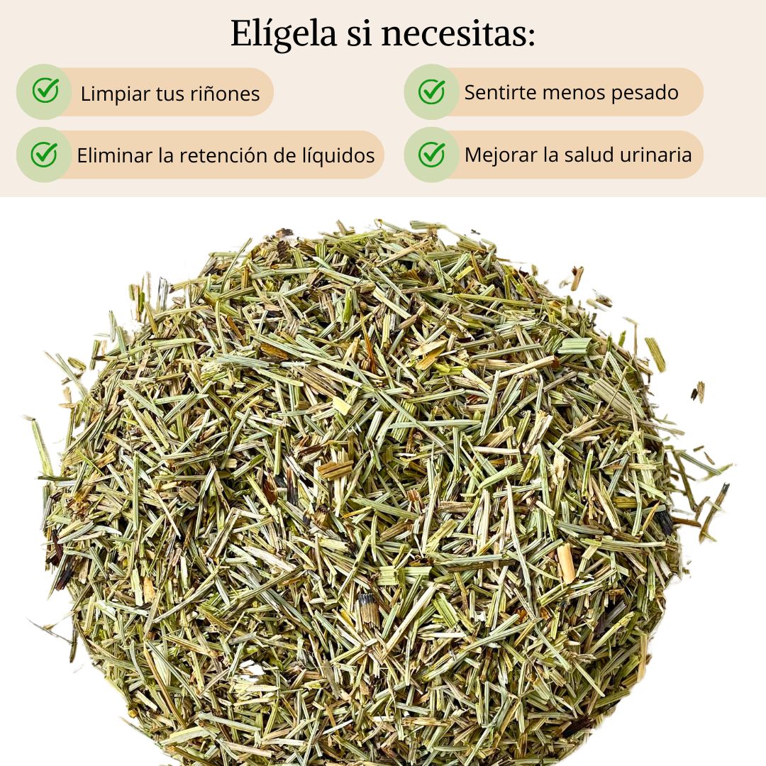 Infusión Cola de caballo