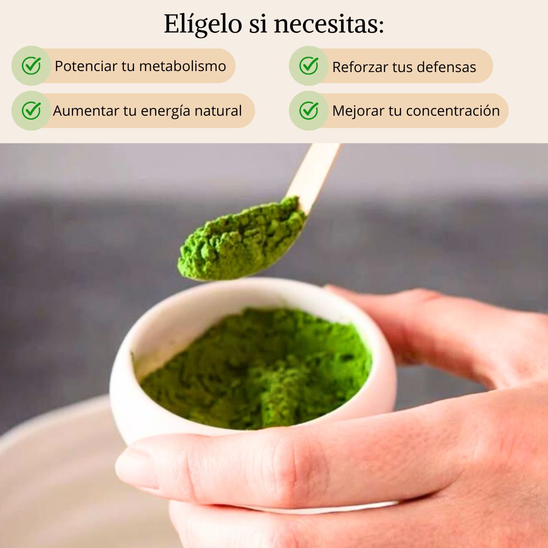 Té Matcha Ceremonial - Máxima calidad