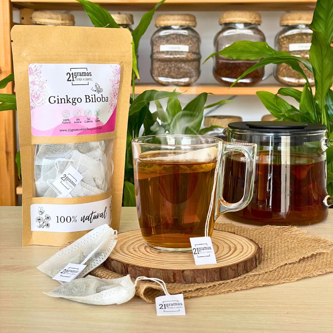Ginkgo biloba
