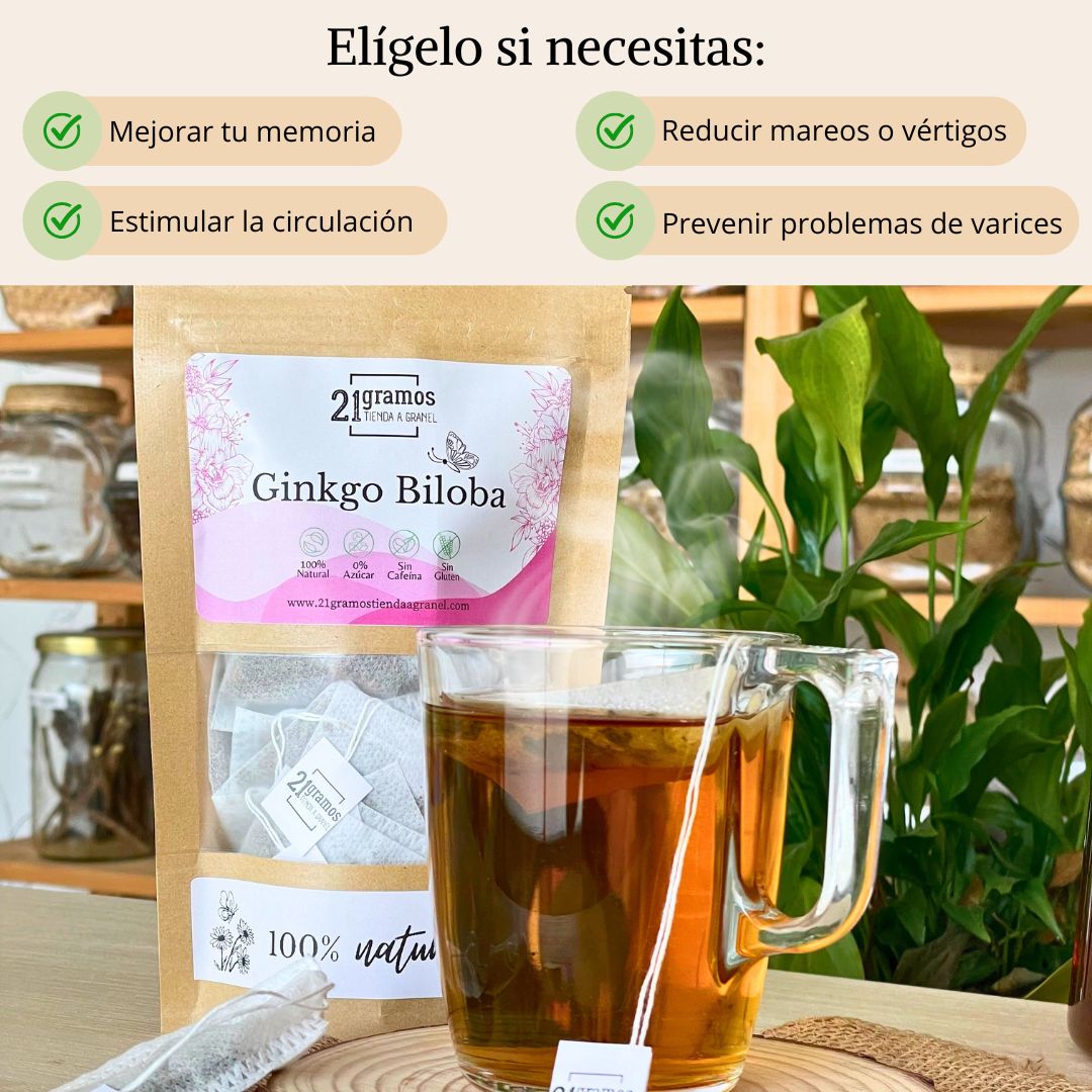 Ginkgo biloba