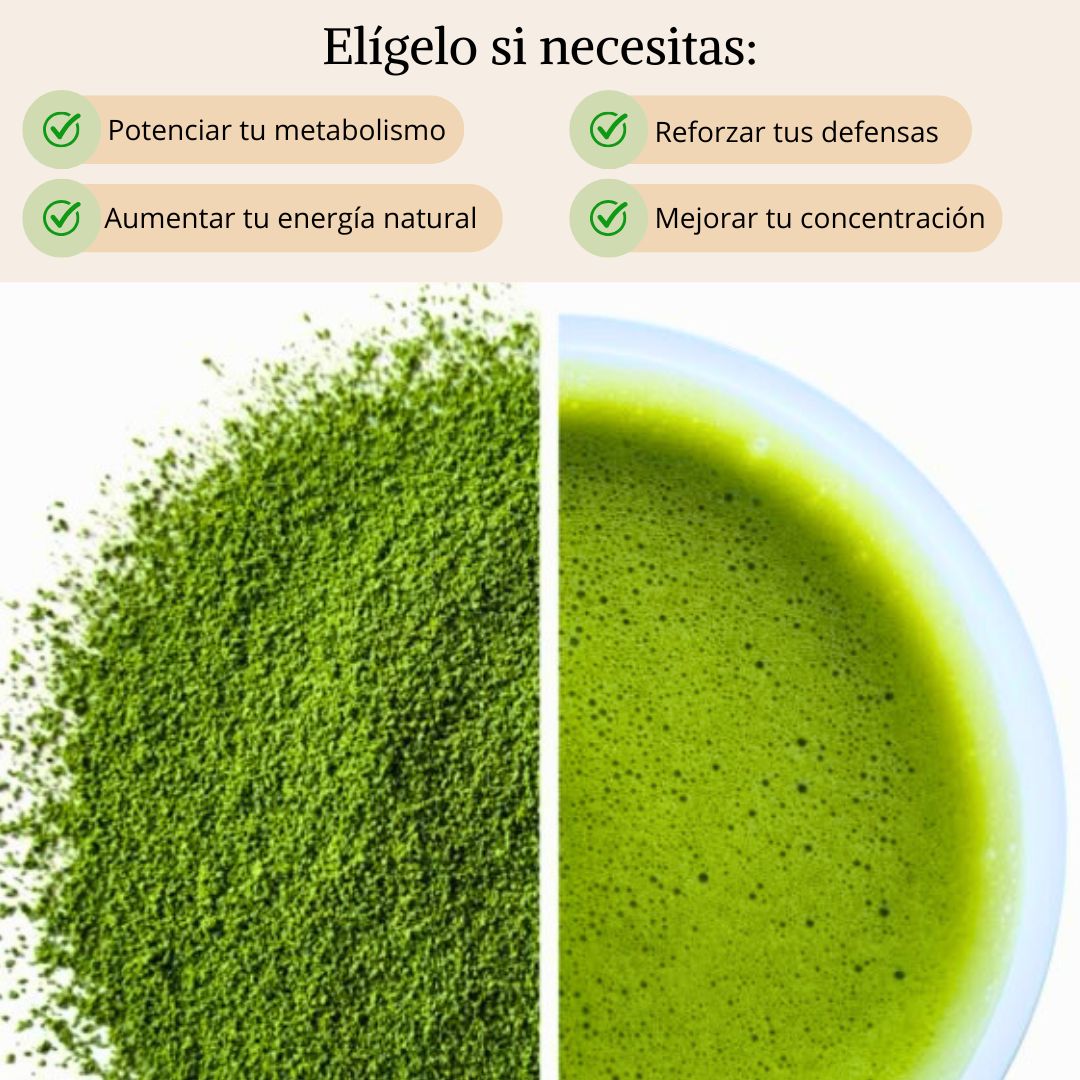 Té Matcha Ceremonial - Máxima calidad