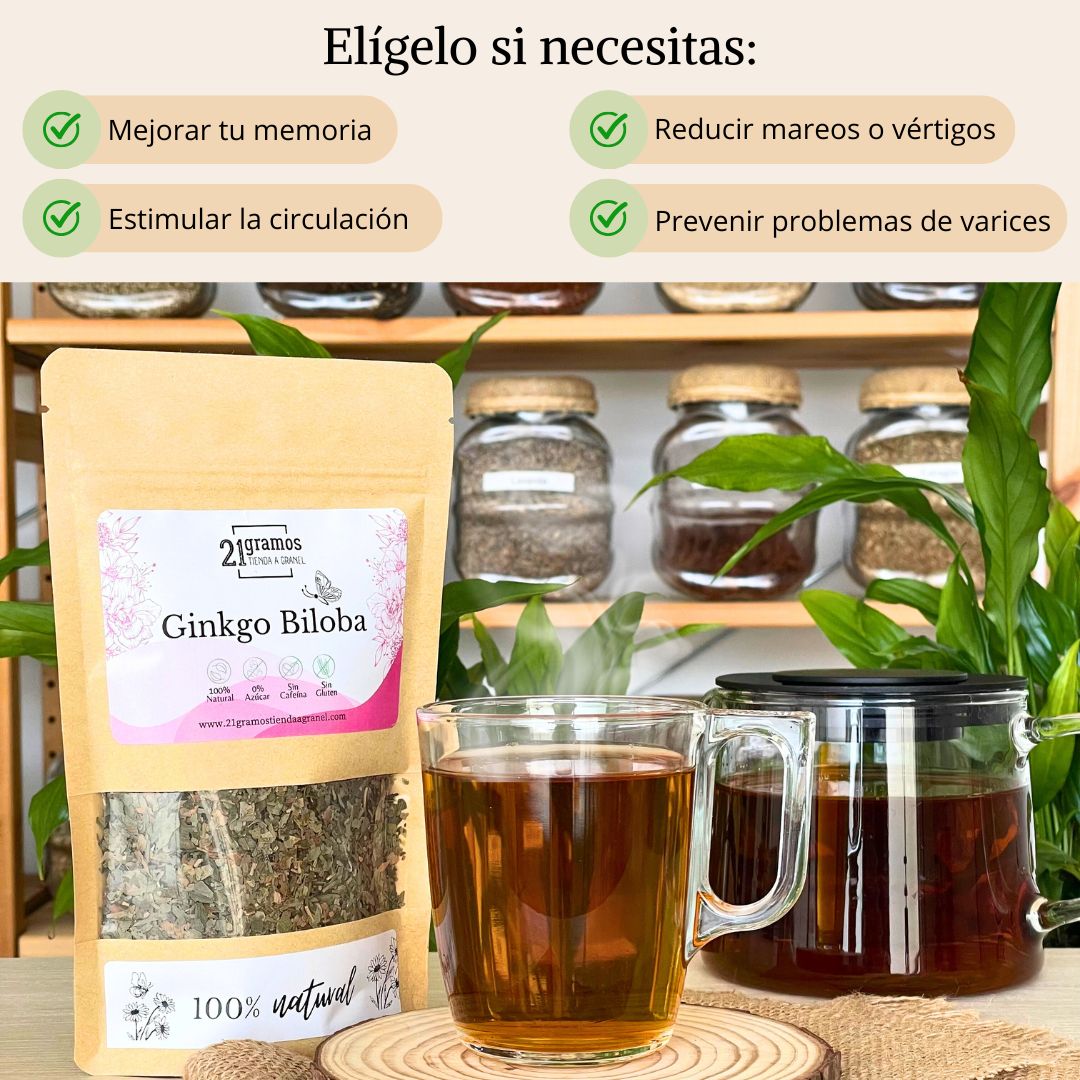 Ginkgo biloba