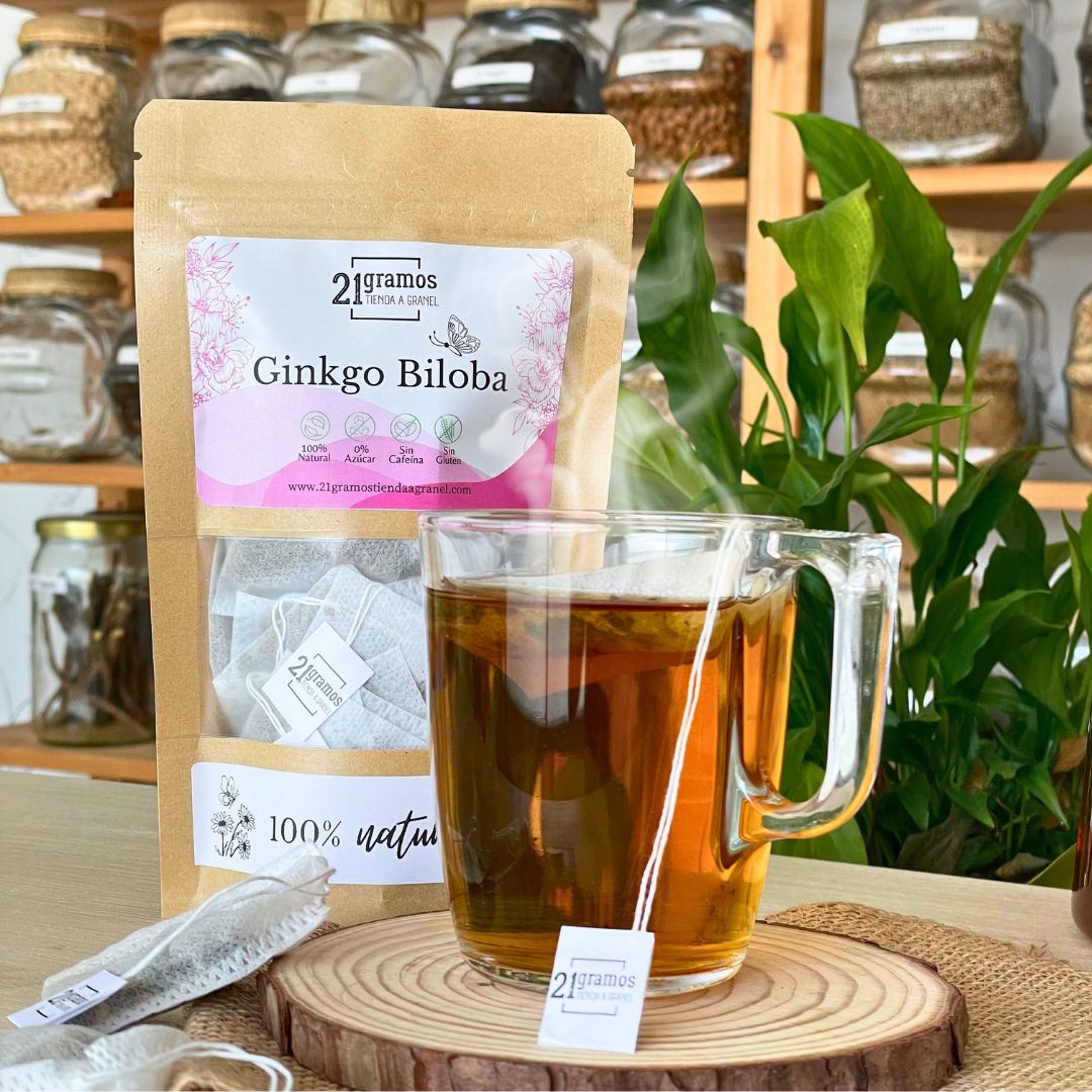 Ginkgo biloba