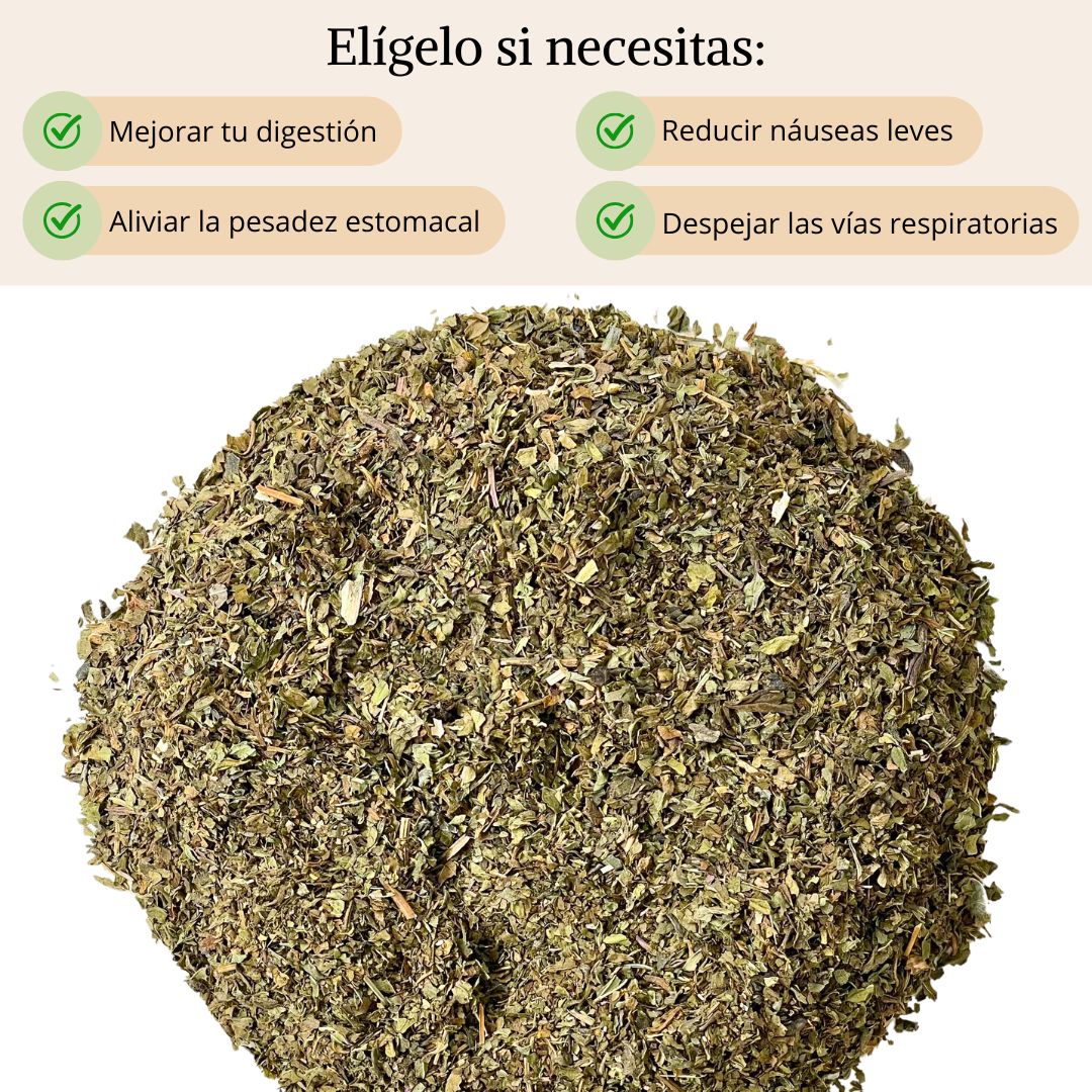 Infusión Menta