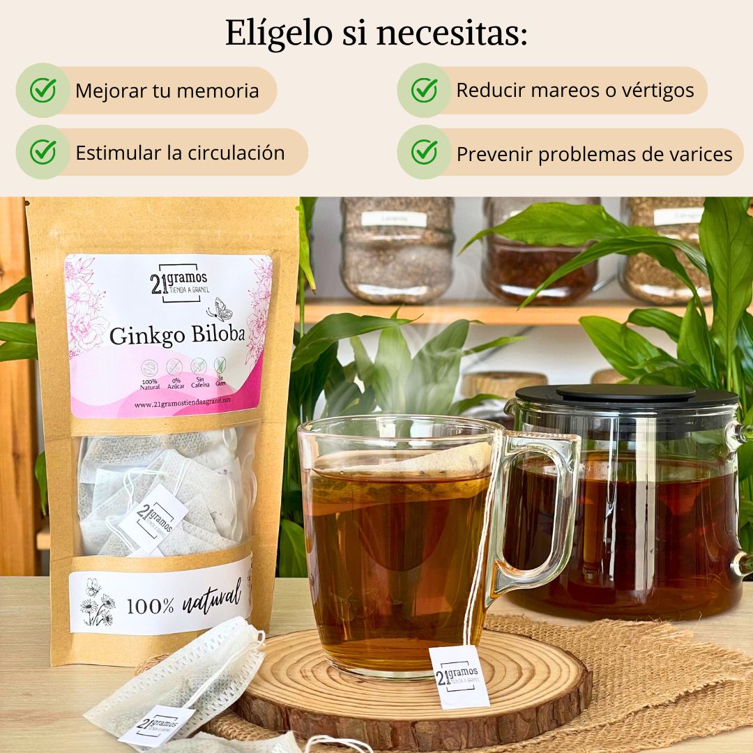 Ginkgo biloba