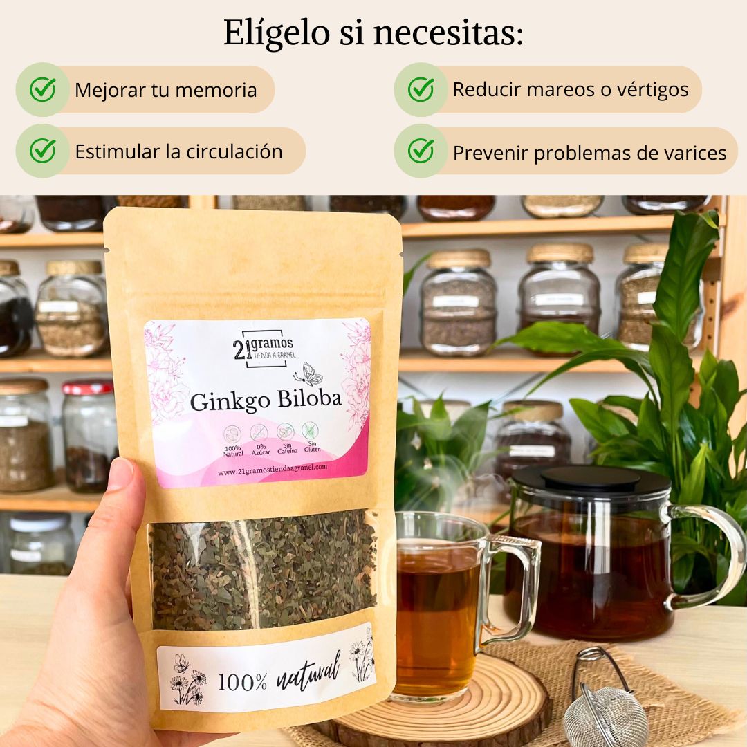 Ginkgo biloba