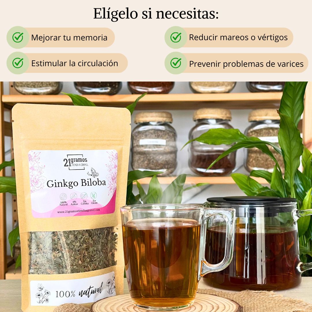 Ginkgo biloba