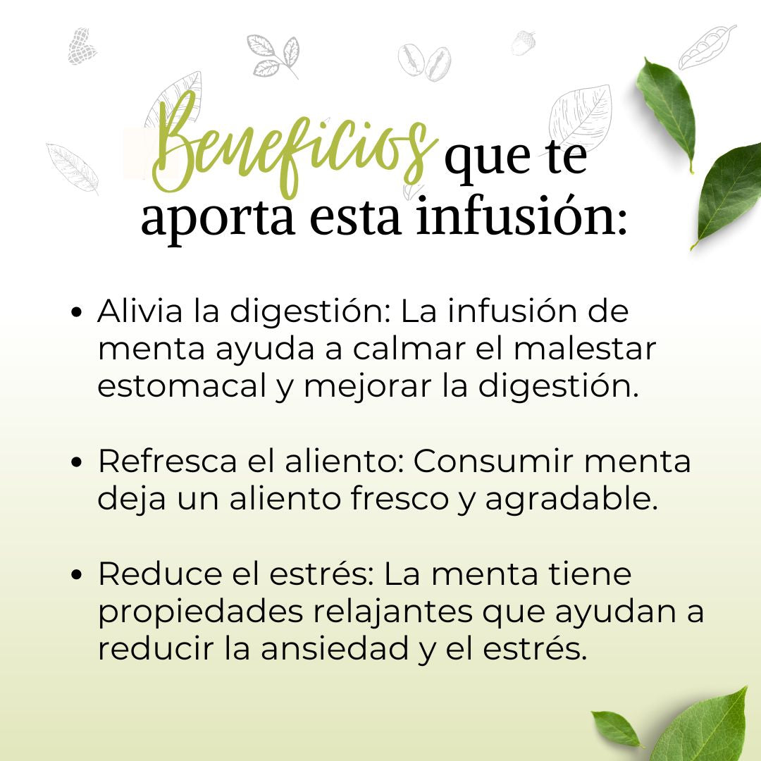 Infusión Menta