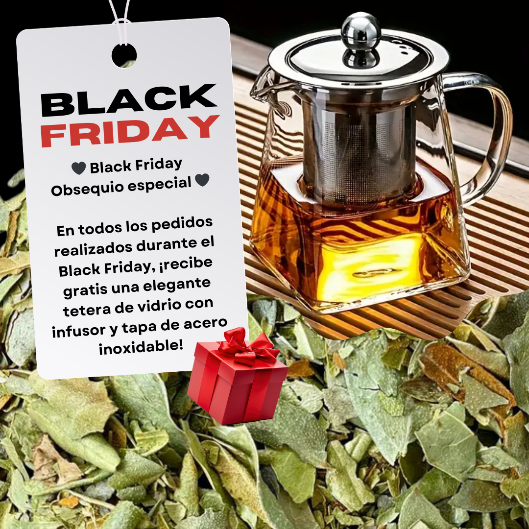 Infusión Boldo