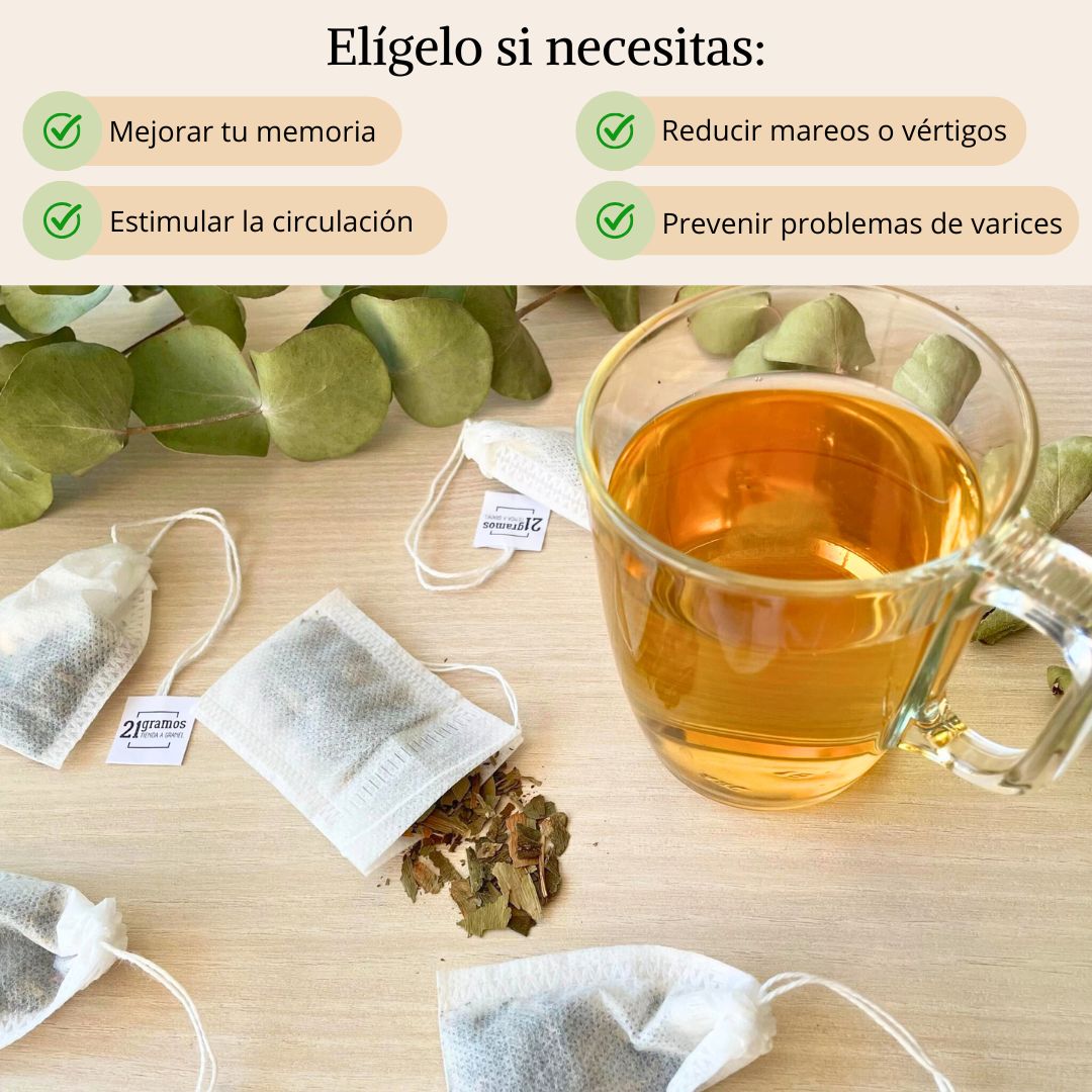 Ginkgo biloba