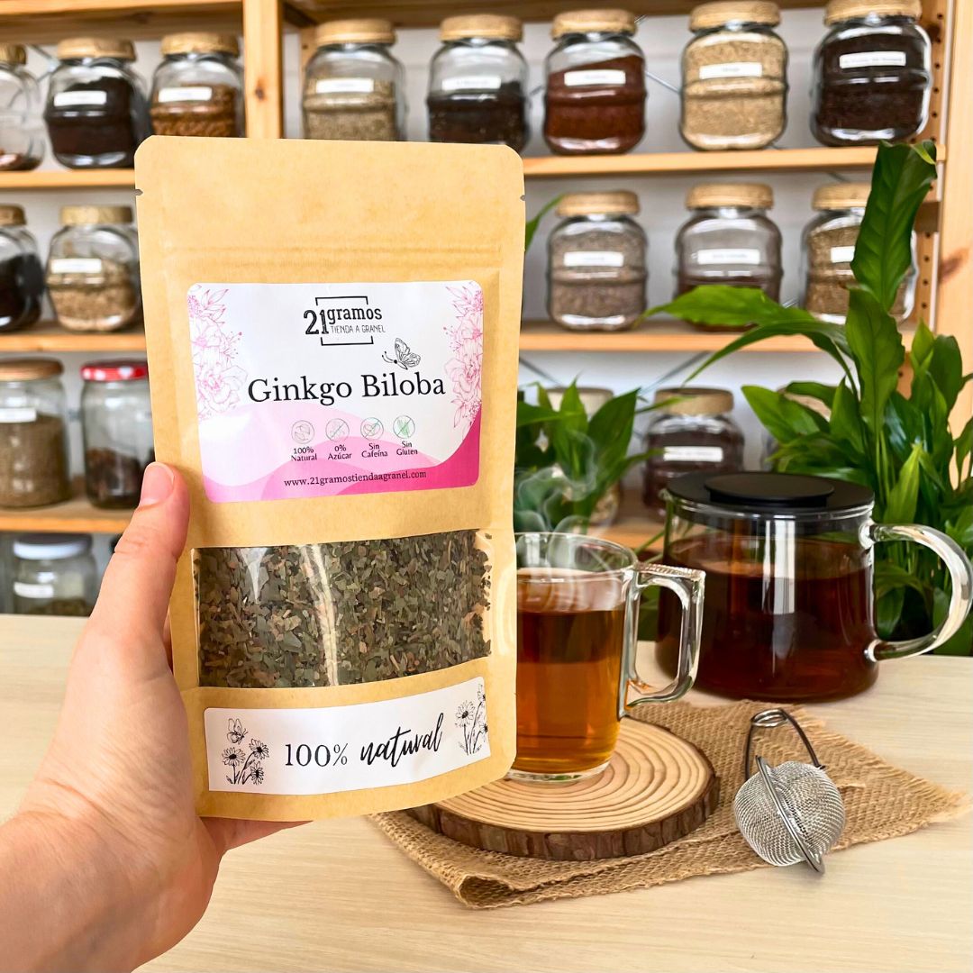Ginkgo biloba