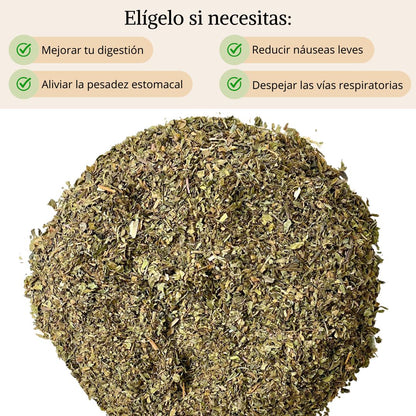 Infusión Menta