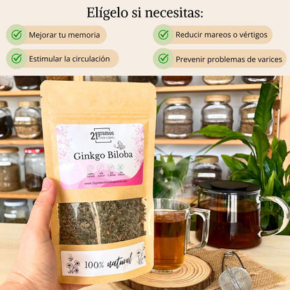 Ginkgo biloba