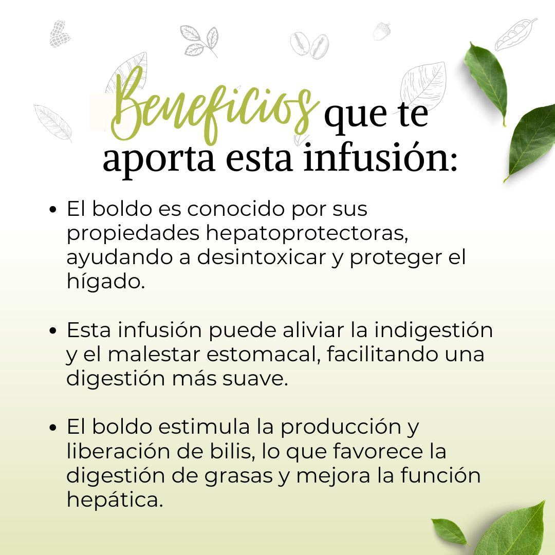 Infusión Boldo