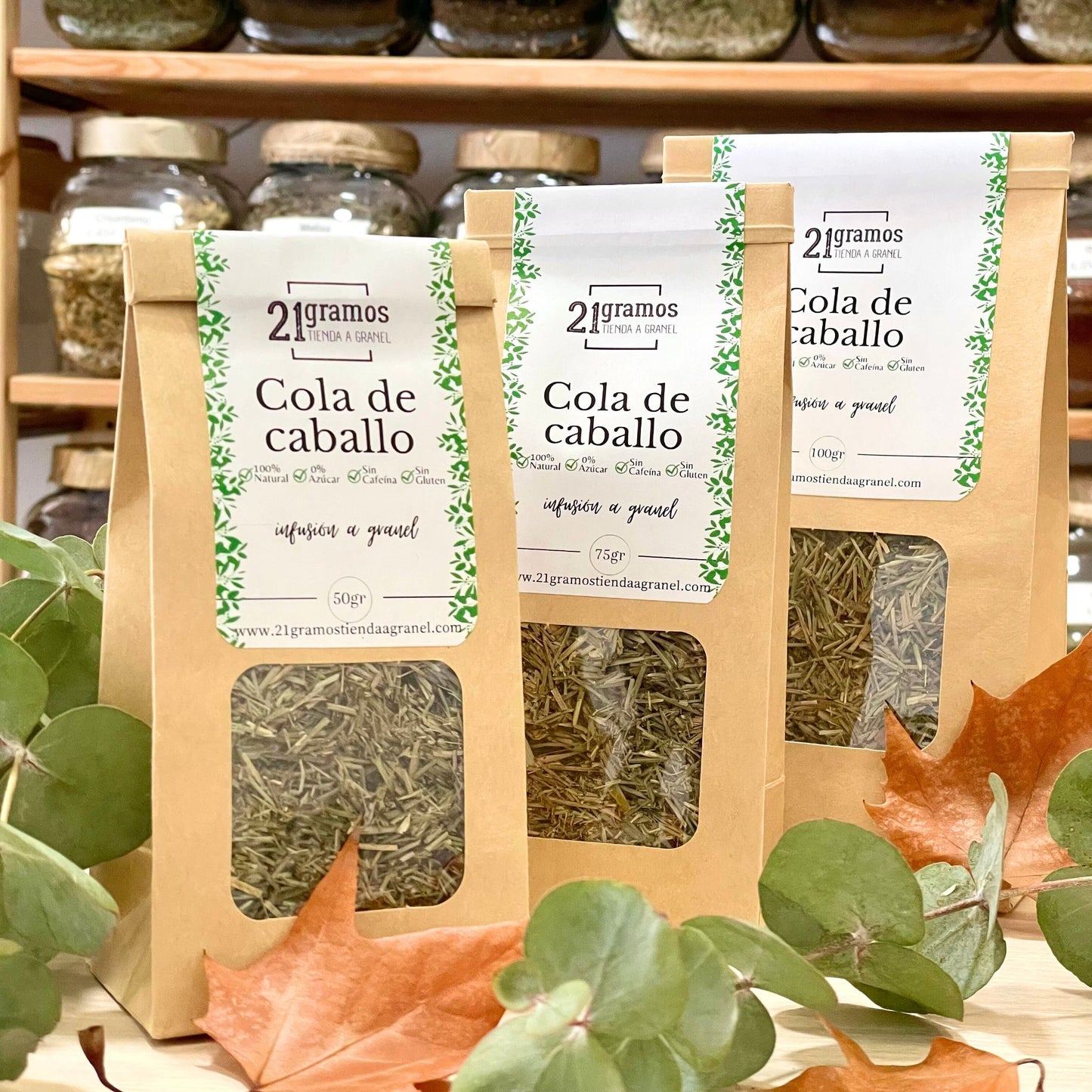 Infusión Cola de caballo