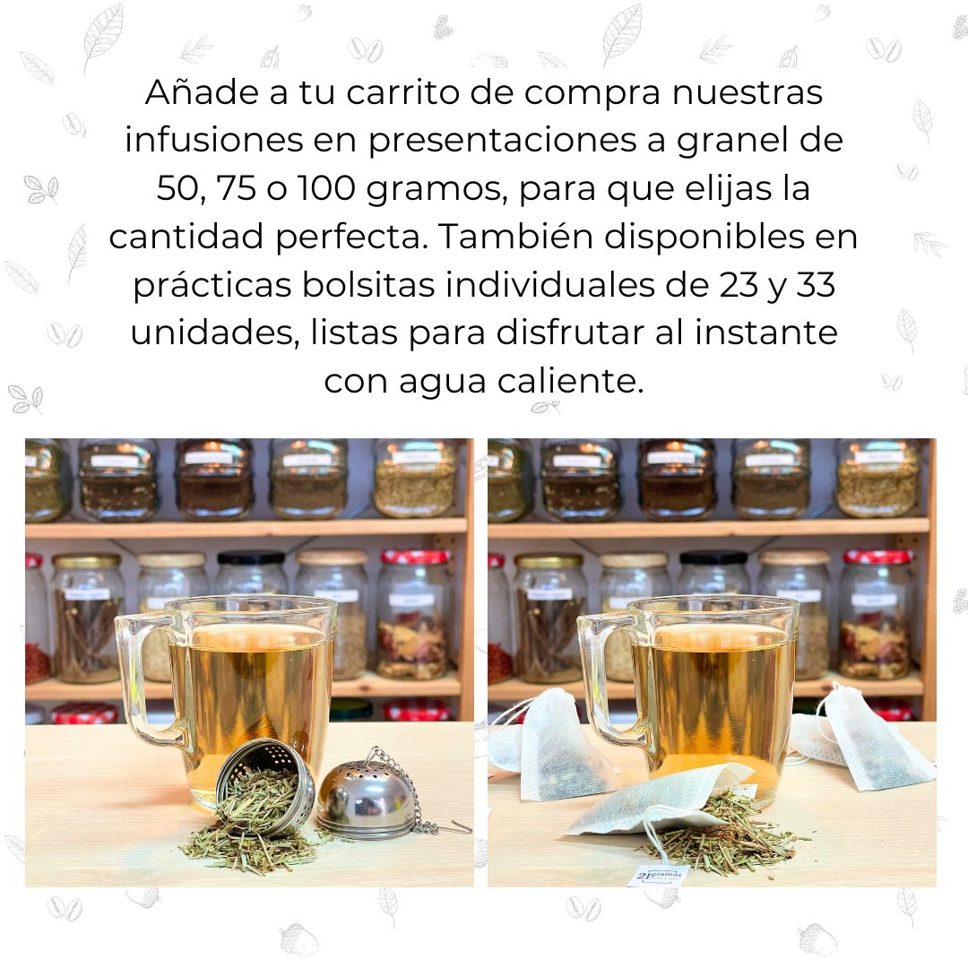 Infusión Cola de caballo