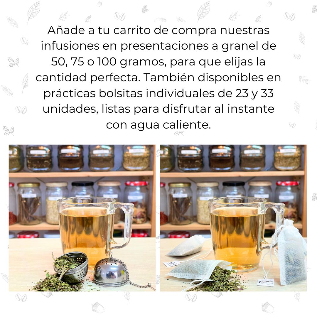 Infusión Diente de león