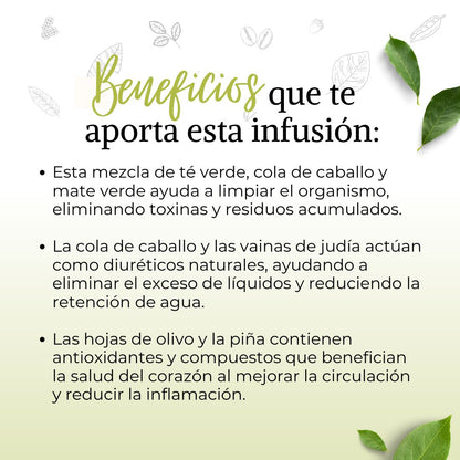 Infusión Frescura desintoxicante