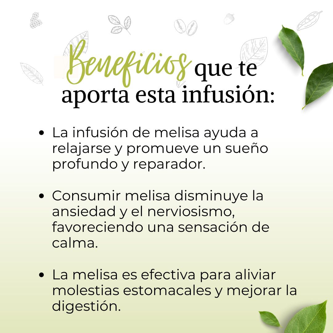 Infusión Melisa