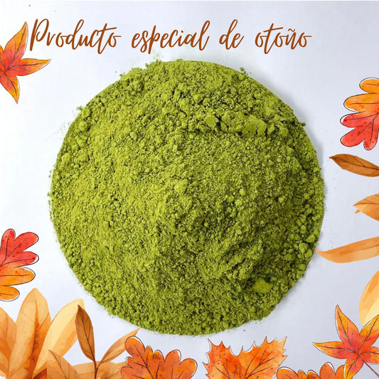 Té Matcha Ceremonial - Máxima calidad