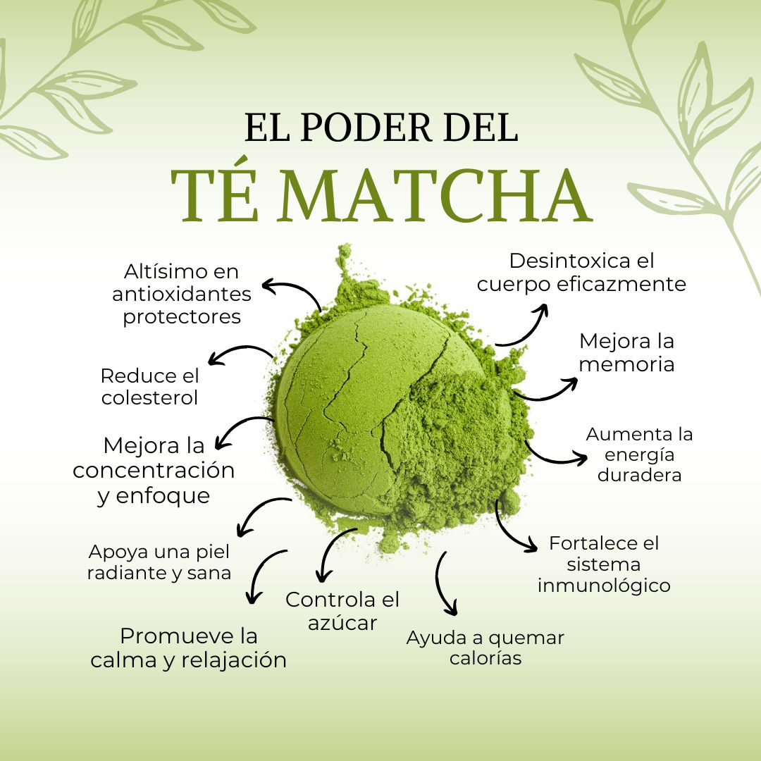 Té Matcha Ceremonial - sabor Frutos del Bosque