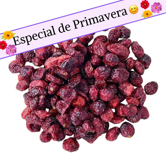 Arándano deshidratado