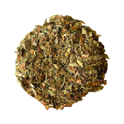Ginkgo biloba
