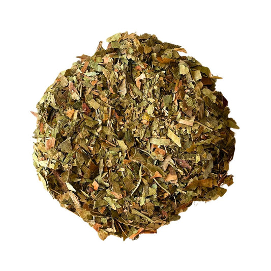 Ginkgo biloba