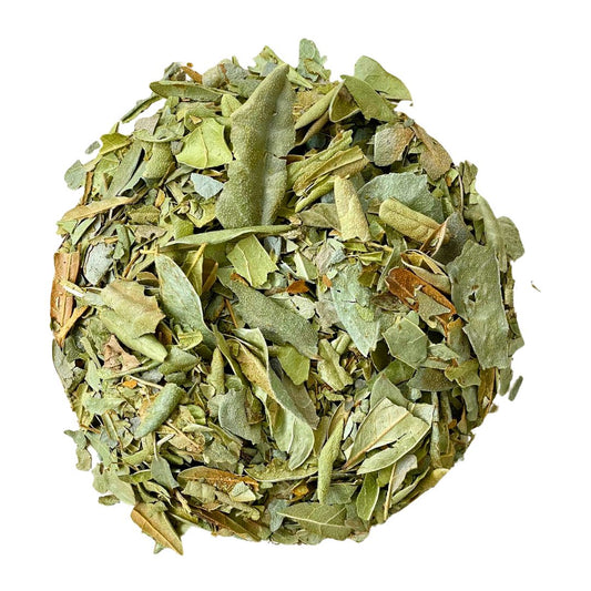Infusión Boldo